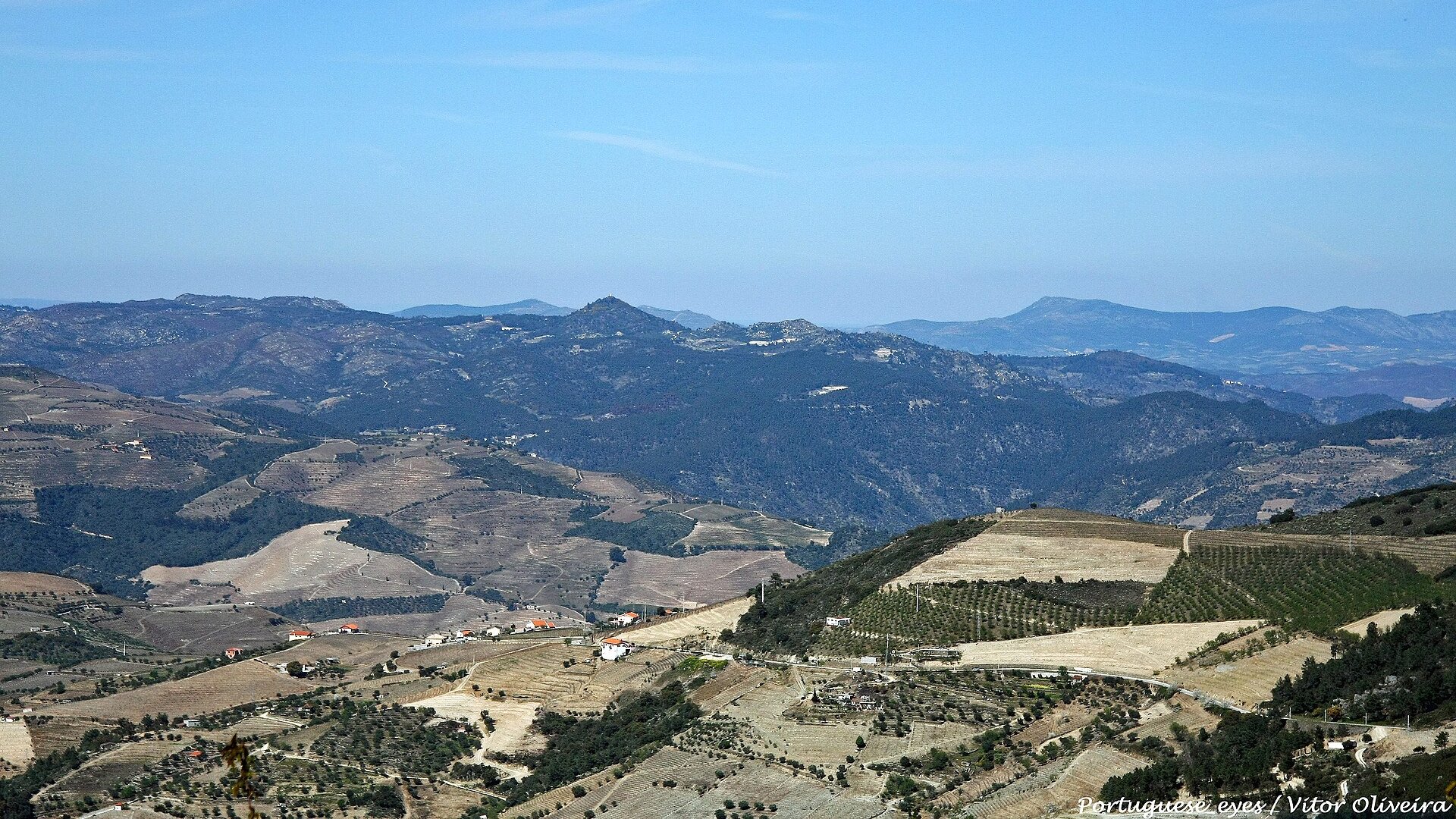 Paisagem do interior do Douro vista de um miradouro: encostas terraçadas com oliveiras e vinha, casais de telha vermelha dispersos, montes cobertos de floresta e serras ao fundo