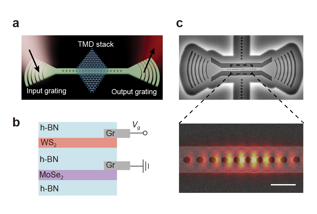 Diagrama da nanocavidade com MoSe2 e cristal fotónico