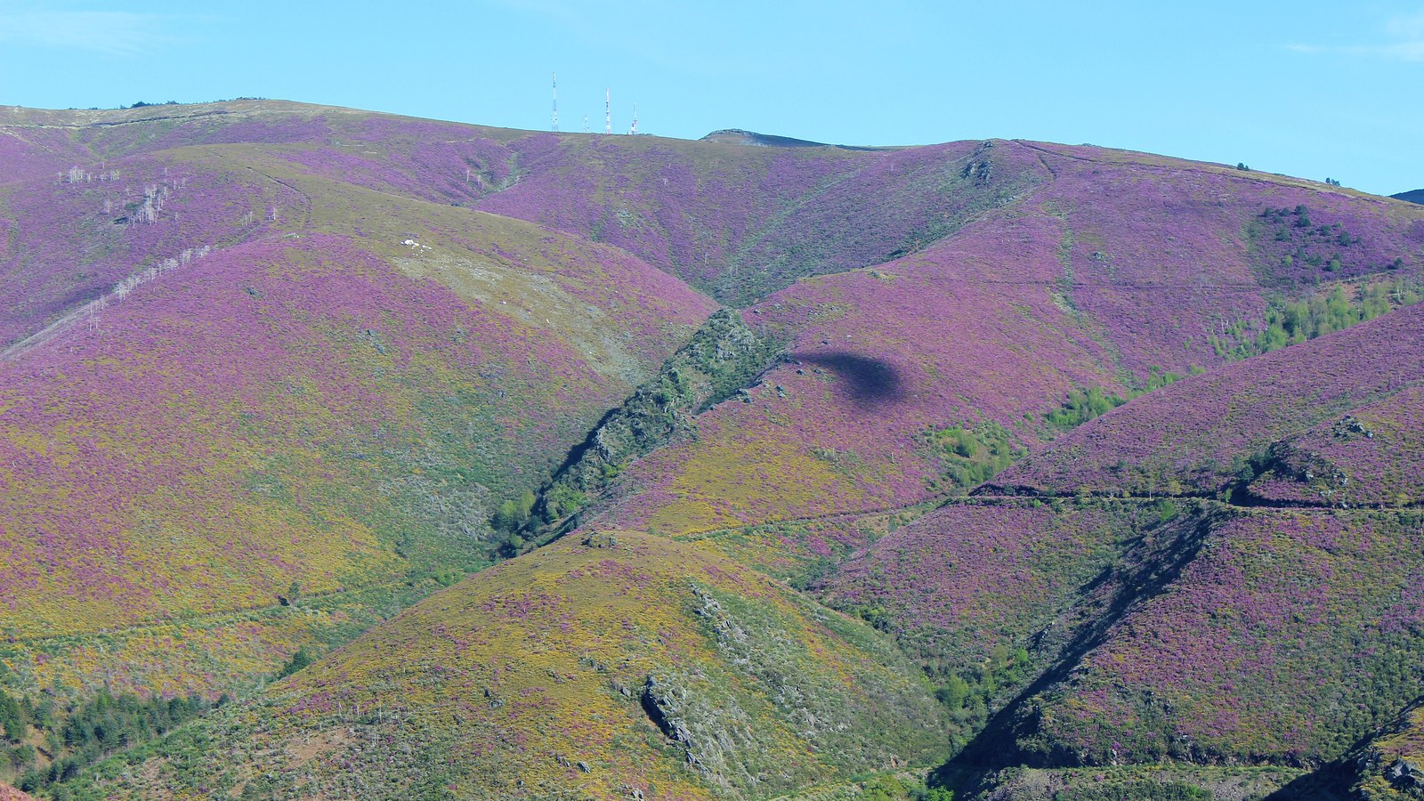 Encosta de serra coberta de mato baixo, com grandes manchas cor de vinho de urze em flor e manchas amarelas de giesta, atravessada por uma linha de postes; no cimo da crista erguem-se quatro antenas de telecomunicações, sob céu azul.