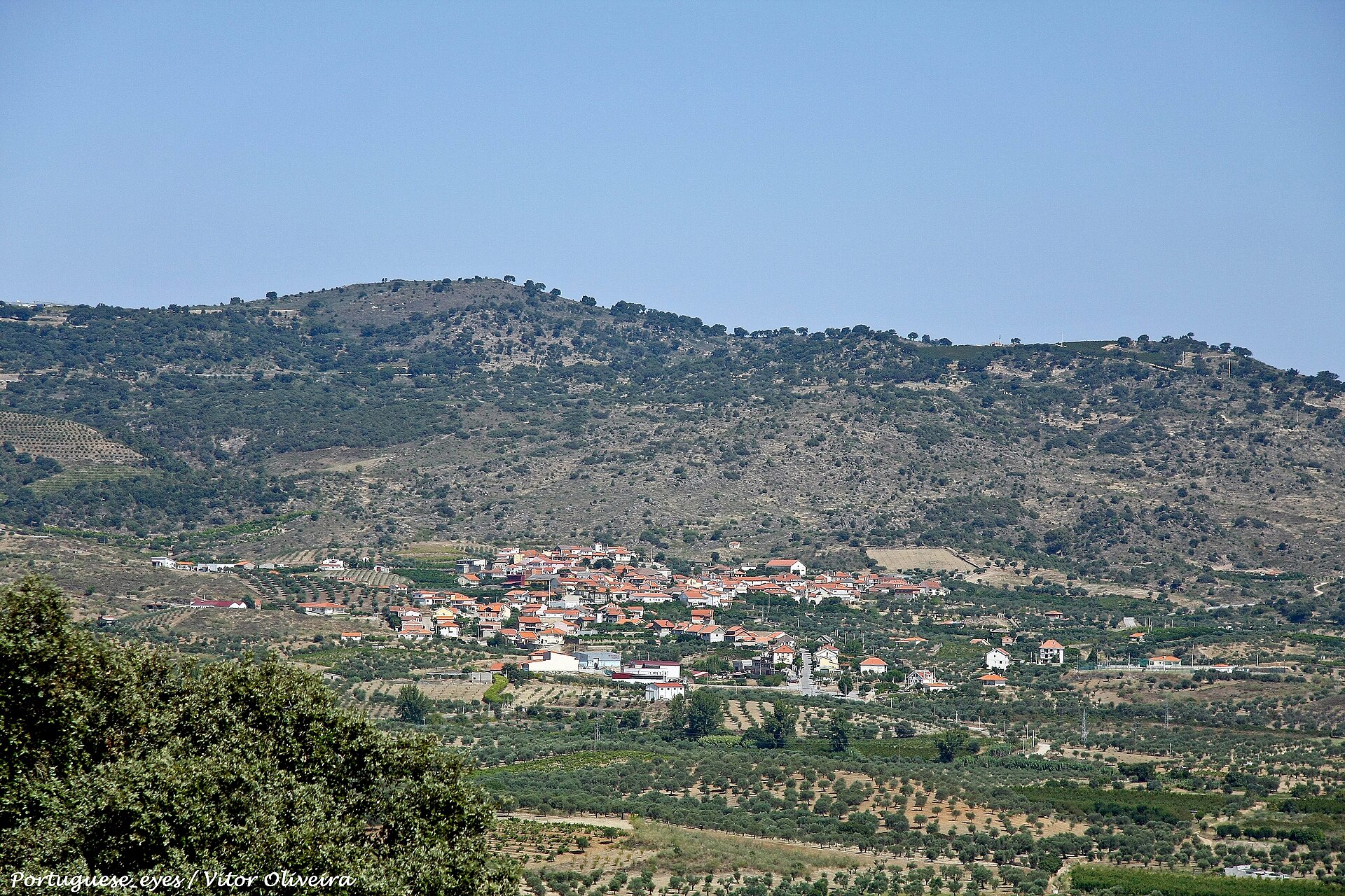 Aldeia de casas brancas e telhados vermelhos no fundo de um vale, com encostas de olival em socalcos e uma mancha de vinha em primeiro plano, sob céu limpo