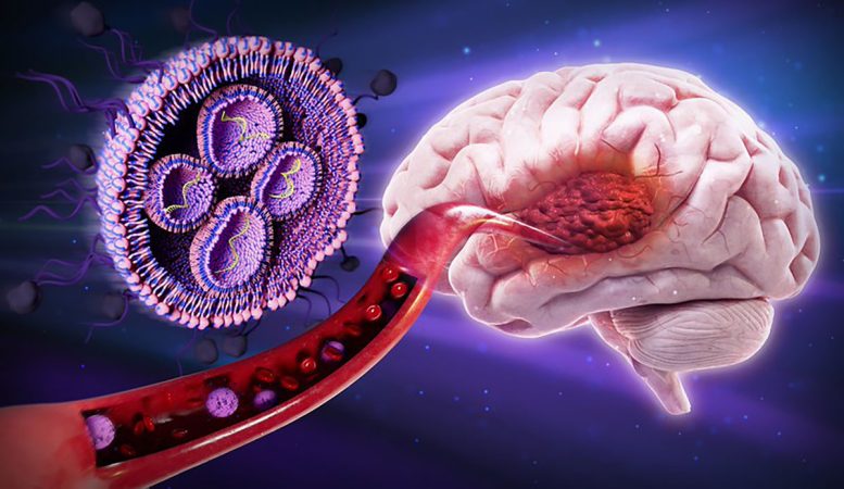 Ilustração conceptual de nanopartícula a viajar na corrente sanguínea até um tumor cerebral, demonstrando a entrega direcionada de terapêutica