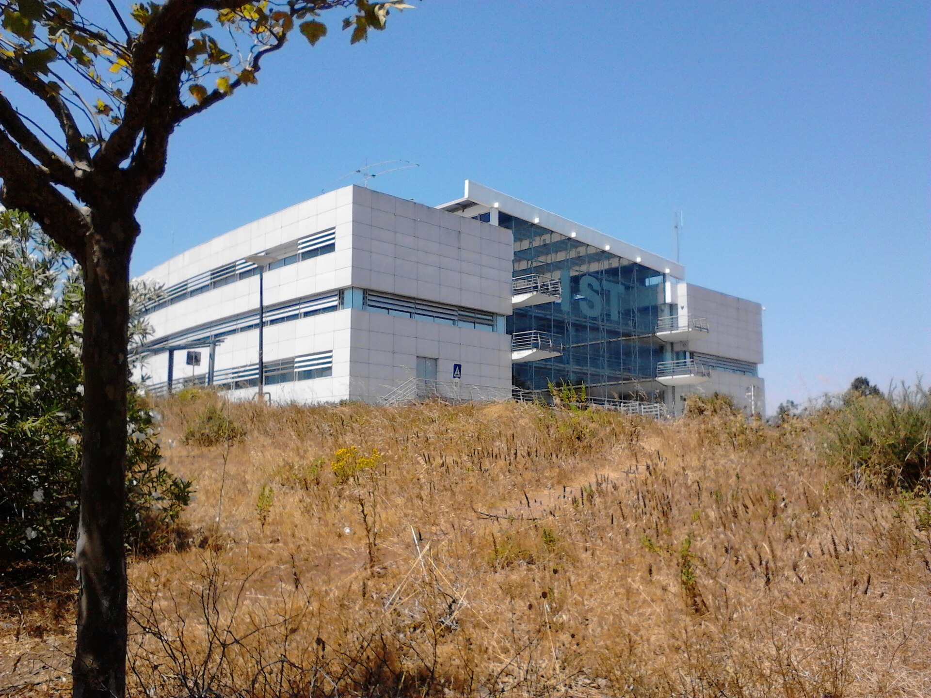 Edifício branco do Instituto Superior Técnico no Taguspark, em Oeiras, visto de uma zona arborizada.