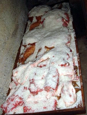 Carne de porco dentro de uma salgadeira, completamente coberta por sal grosso — o método tradicional de conservação