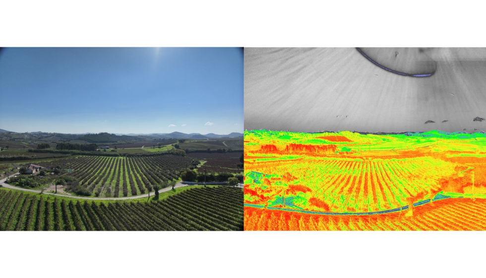 Drone Mavik3E com sensor multiespectral sobre olival — smart farming em Portugal com INIAV e SFCOLAB.
