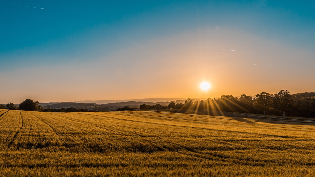 Paisagem rural dourada com campos de cereal, montanhas ao fundo e um pôr do sol — o tipo de zona do interior de Portugal com cobertura móvel limitada