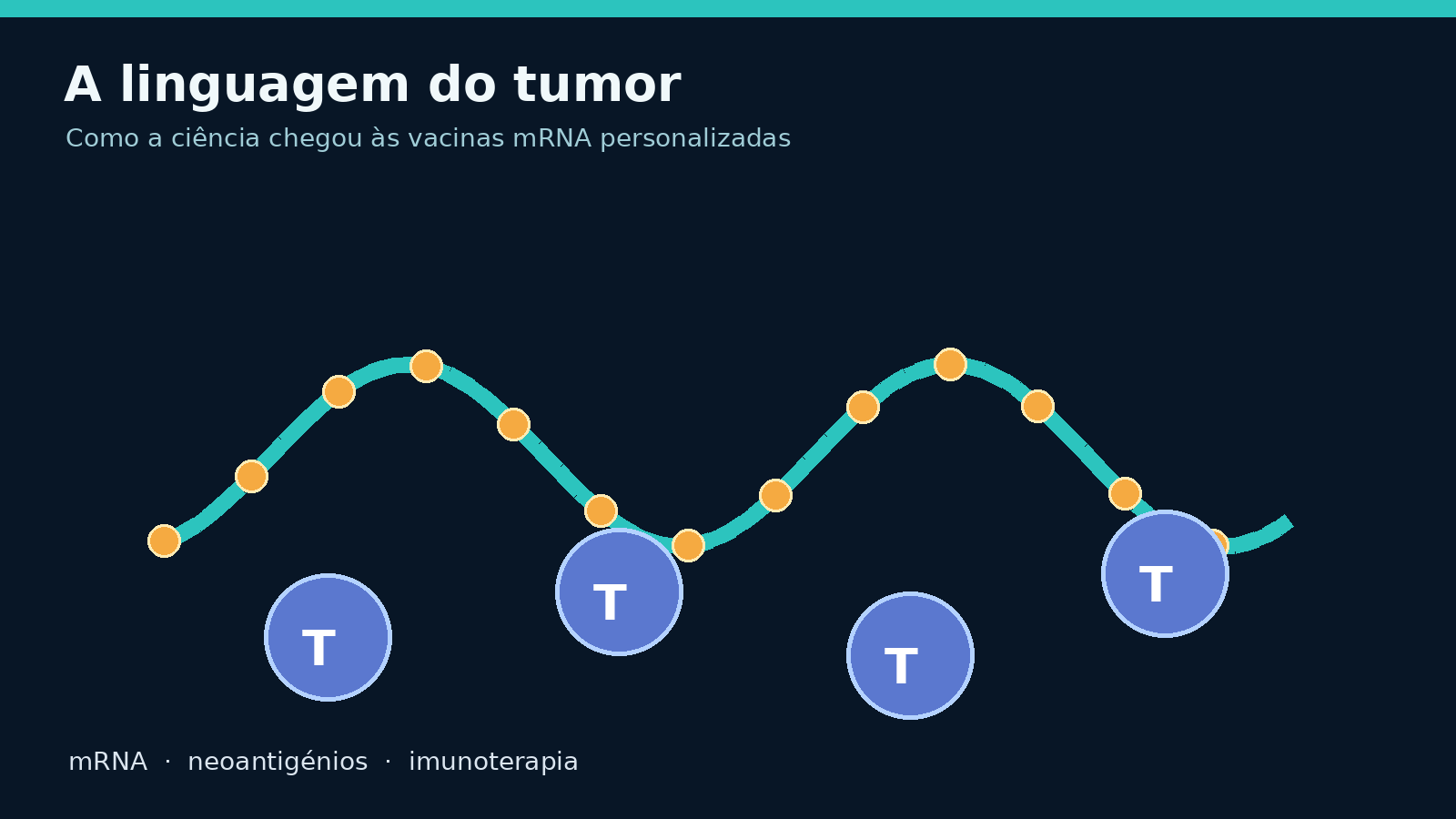 Ilustração de uma molécula de mRNA a transportar instruções para o sistema imunitário reconhecer sinais de um tumor