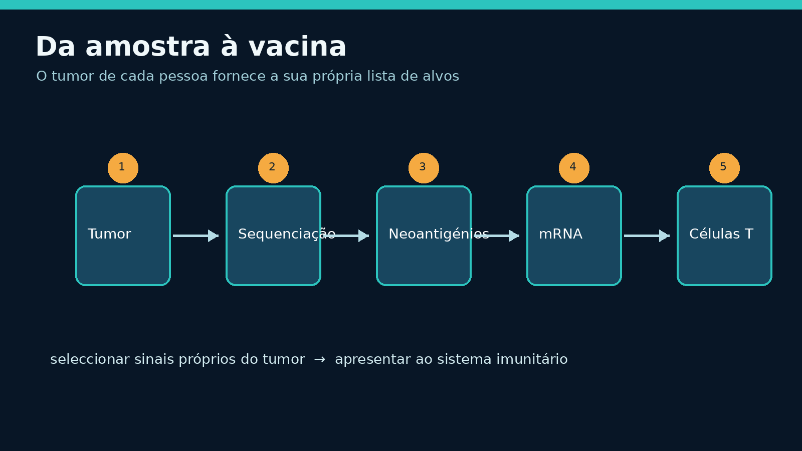 Esquema de sequenciação de tumor, selecção de neoantígenos e activação de células T