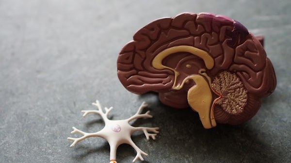 Rede neuronal com conexões brilhantes — dopamina e sinapses