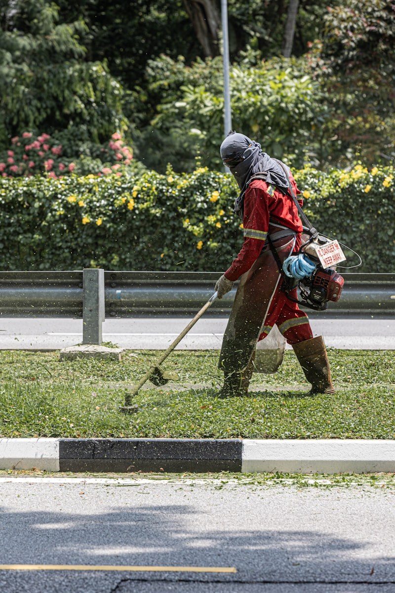 Trabalhador florestal com roçadora e equipamento de proteção a limpar terreno — a fotografia que pode valer até 1500 euros por hectare de apoio estatal