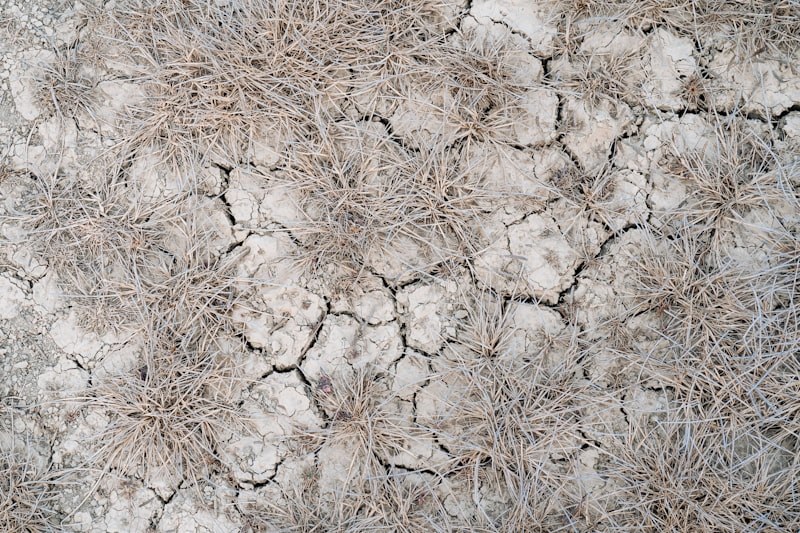 Paisagem seca e árida no interior de Portugal