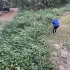 Terreno com vegetação densa e silvas — risco elevado de propagação de chamas no verão